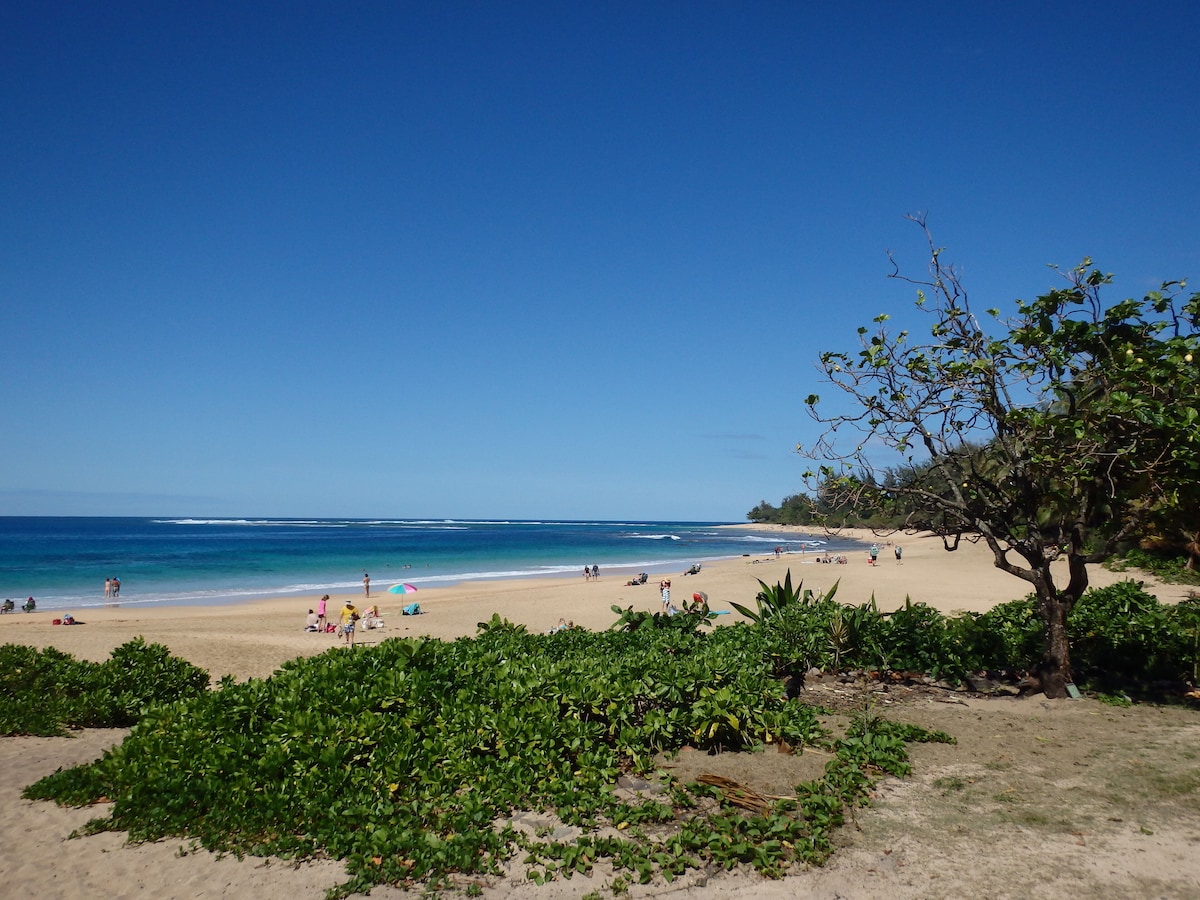 Tunnels Beach